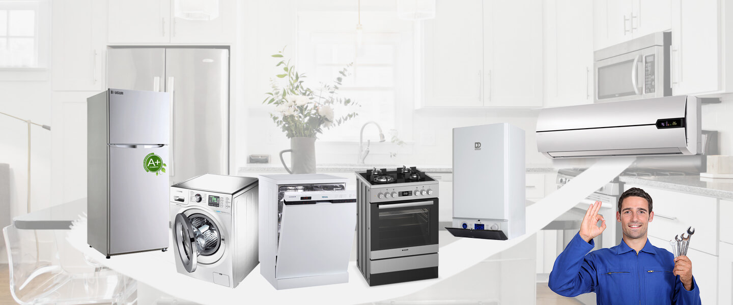 Eğirdir Gaggenau Servisi